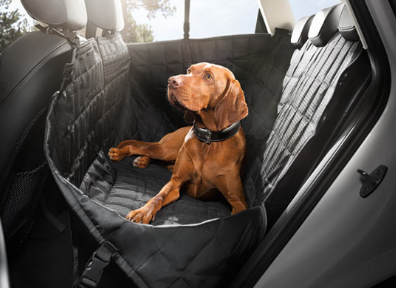 Couverture de protection pour chien